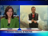 INCENDIO FORESTAL EN PUEMBO FUE CONTROLADO