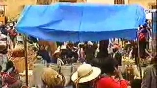 VAMOS AL CAMPO VERDE ( Wayño ) Los Pocohuateños