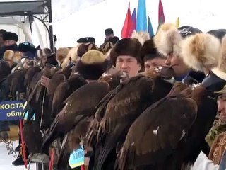 Avcı Kartalların Nefes Kesen Görüntüleri