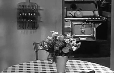 The Real Mccoys - S04E27 Kate Comes Home [Full Episode]