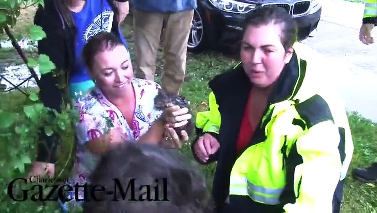 Une femme saute dans les égouts pour sauver un chaton d'une mort certaine !