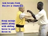 Eddie Chong's Wing Chun Arm Breaking / Joint Locking Applications