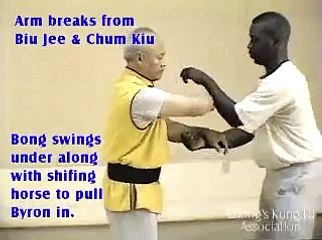 Eddie Chong's Wing Chun Arm Breaking / Joint Locking Applications