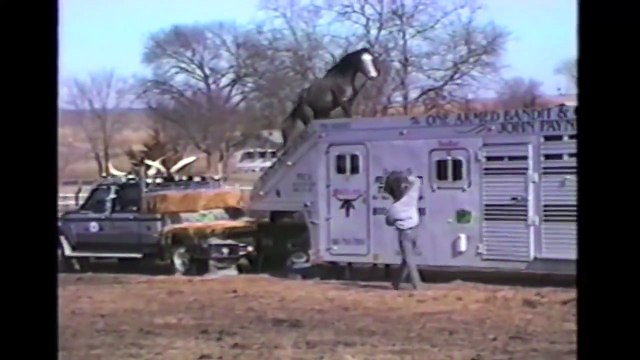 Horses, Ponies and Fails: Compilation