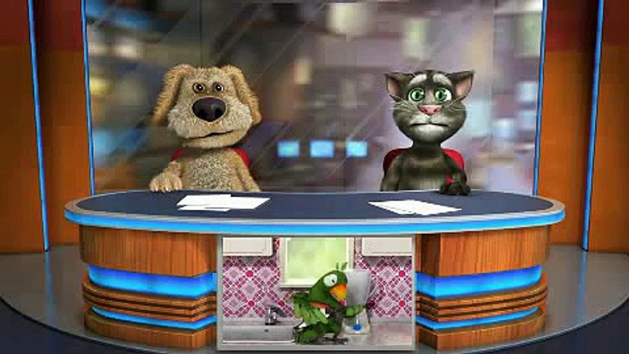 dawson et tom le chat