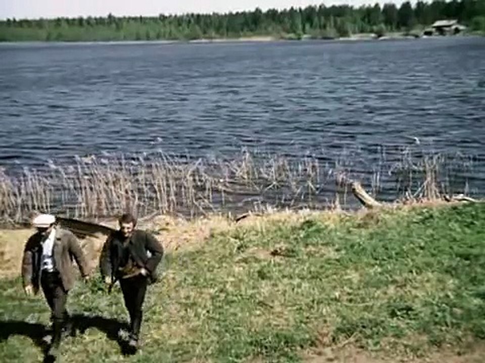 Калина красная