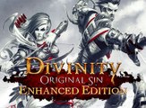 Divinity: Original Sin Enhanced Edition