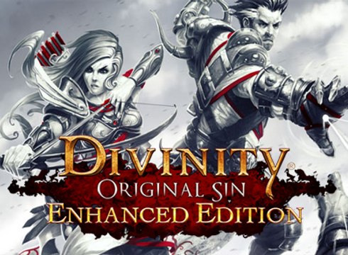 Divinity: Original Sin Enhanced Edition