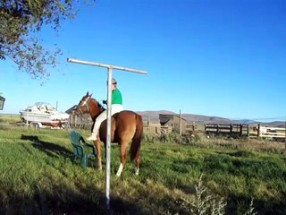 first bareback ride for Nasdaq horse