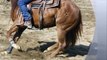 Hy Sliden Cat 2011 AQHA Mare