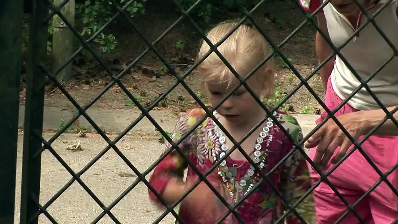 Gandrīz Jāņu bērns...