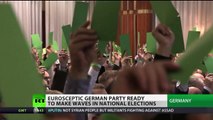 Alternative for Germany? Eurosceptic party ready to make waves in elections