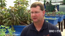Aquaponics Farming of the Future | NCScienceNow | UNC-TV