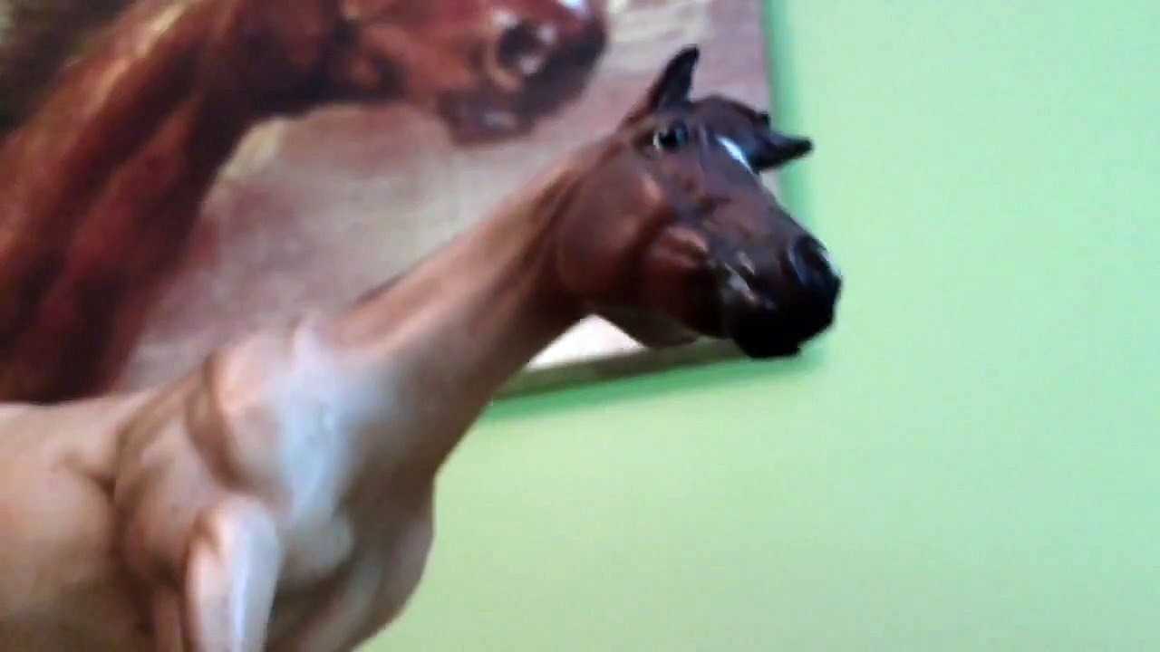 Black Haired Horse // Breyer Horse Short Film