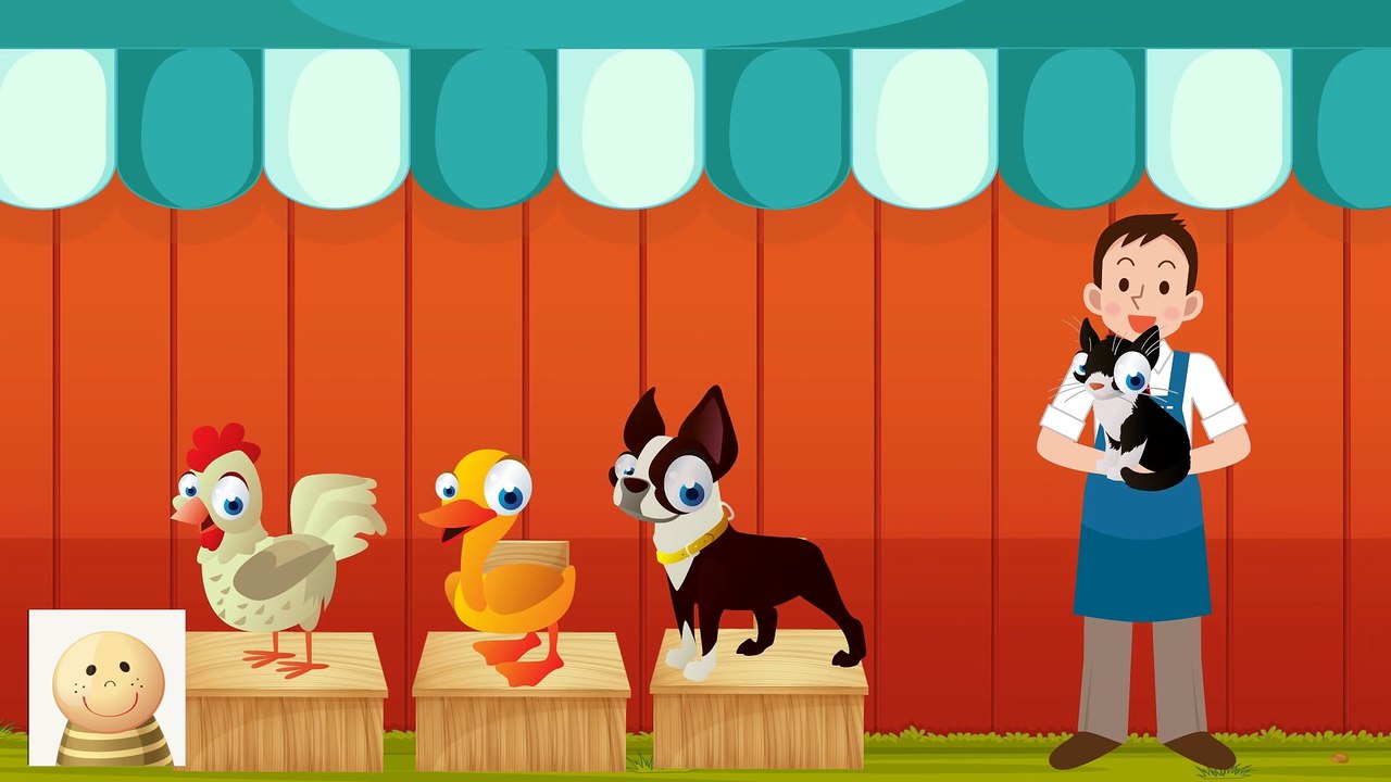 Mały Kot I Duży Kot - Niesamowite Zwierzaki- Baw się z nami