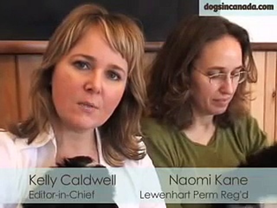 How to pick up a puppy