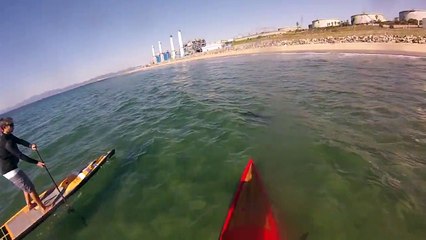 El Porto Manhattan Beach Great White Sharks