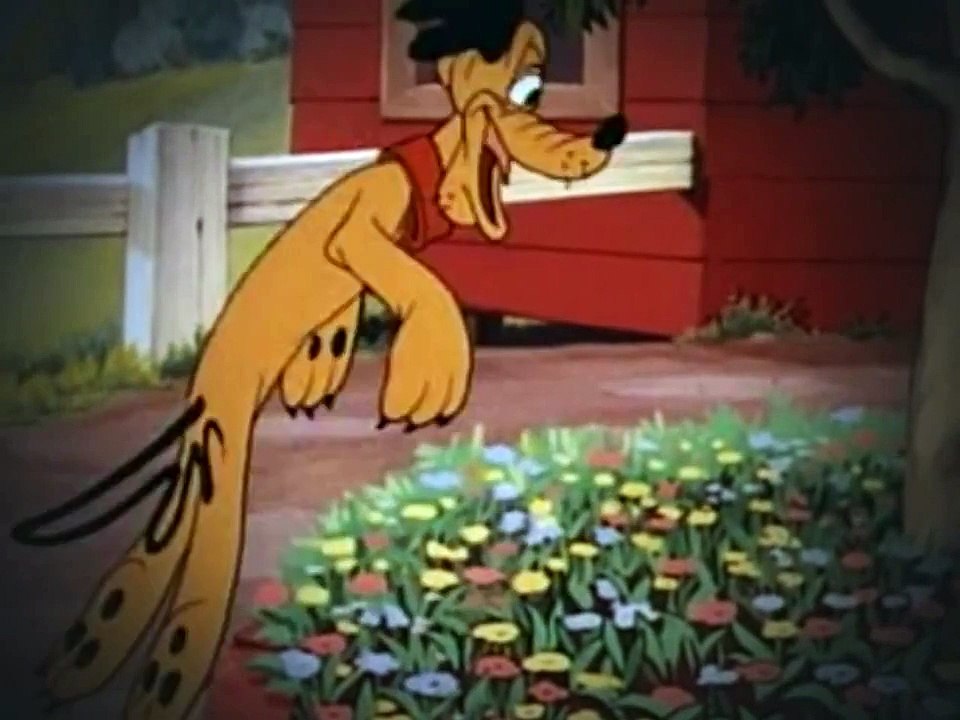 Donald Duck cartoon episodes 21 The Eyes Have It 1945 DVDRip XViD MRC avi