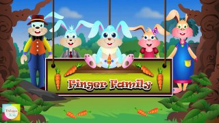 Rabbit Bunny Finger Family  Nursery Rhymes For Children