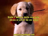 Frases De Amor En Italiano Traducidas  Frases De Amor En Italiano Para Dedicar