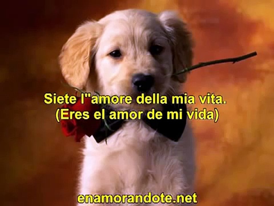 Frases De Amor En Italiano Traducidas  Frases De Amor En Italiano Para Dedicar