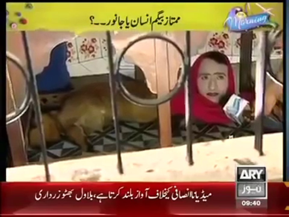 mumtaz begum sir insan ka dhar janwar ka,sanam baloch morning show