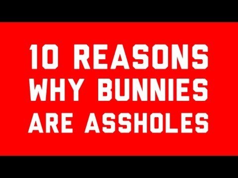 10 Reasons Why Bunnies Are Assholes