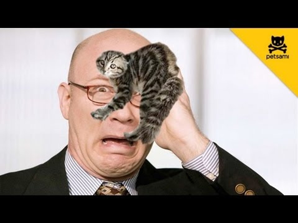 Kitten latches onto man's face in fear of being eaten by a dog
