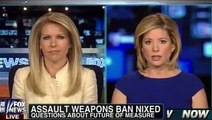 Gun Control - Feinstein's Assault Weapons Ban Shot Down