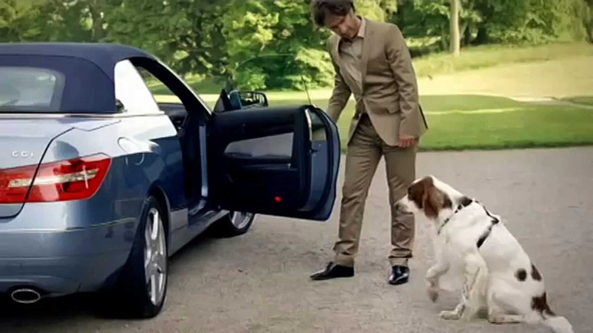 what kind of dog is in the mercedes commercial