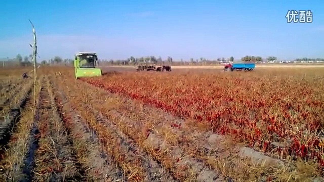 4CH-2300 Pepper harvester/ chilli harvesting machine