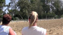 Sandy and Releve riding with Charlotte Dujardin day 2 part 2