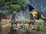 Dragons Dogma Online Comparativa de Gráficos