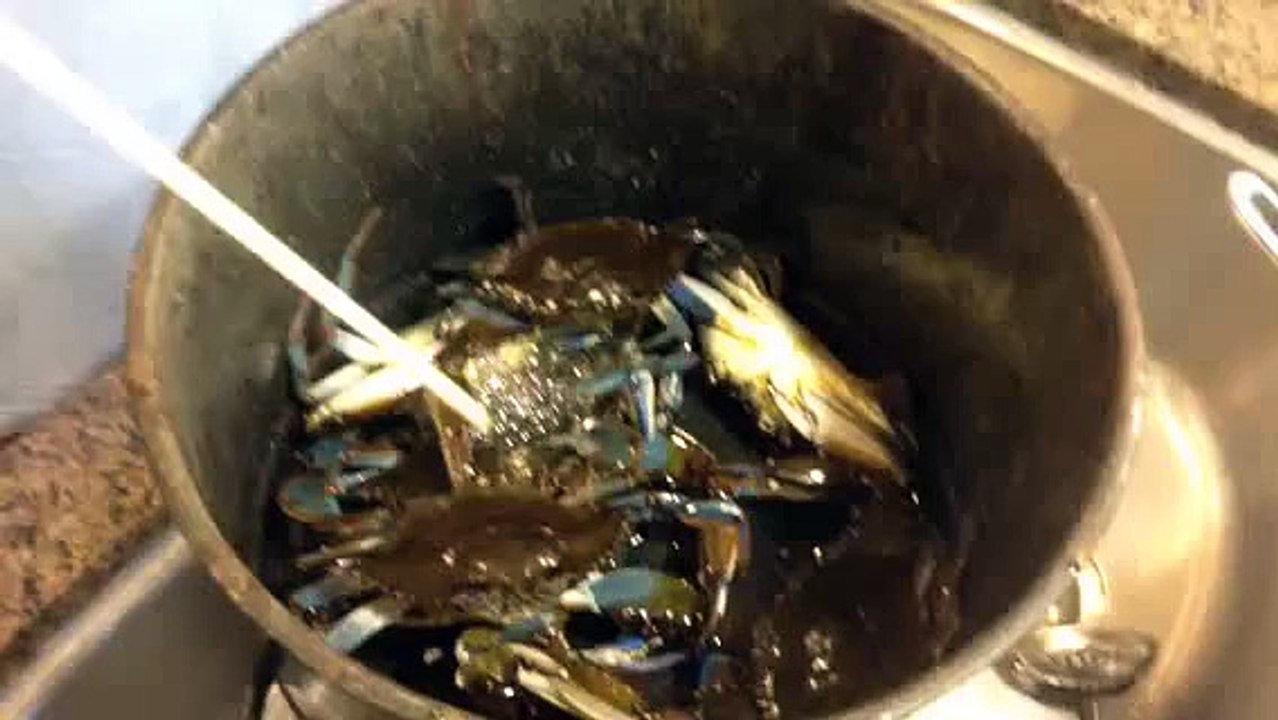 7-Mac-Daddy-Crabs