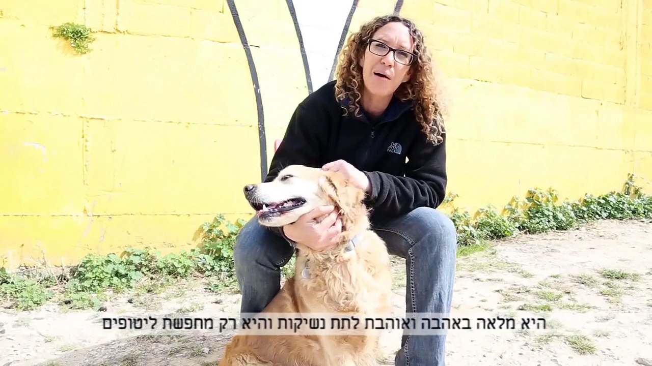 כל החיים לפניה