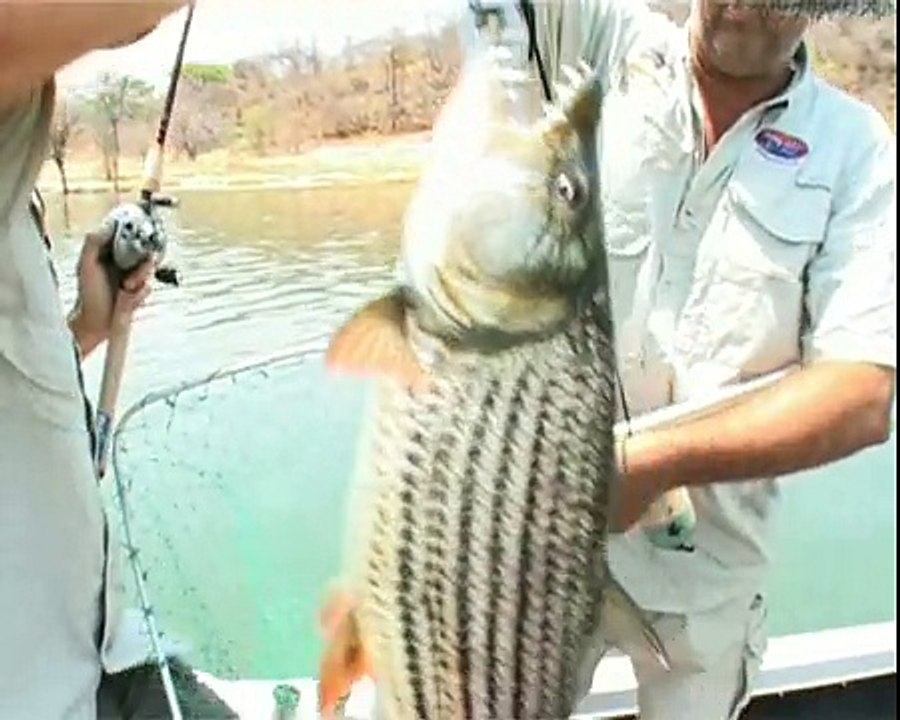 Tigerfishing at Cahora Bassa, Mozambique