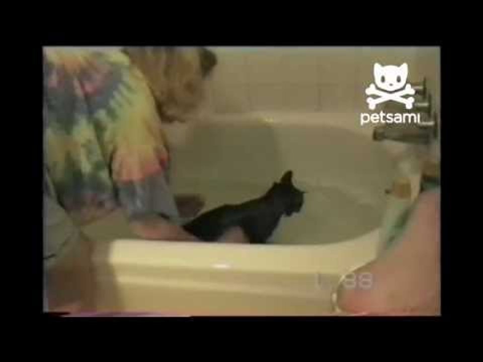 Woman falls into tub while giving her kitten a bath