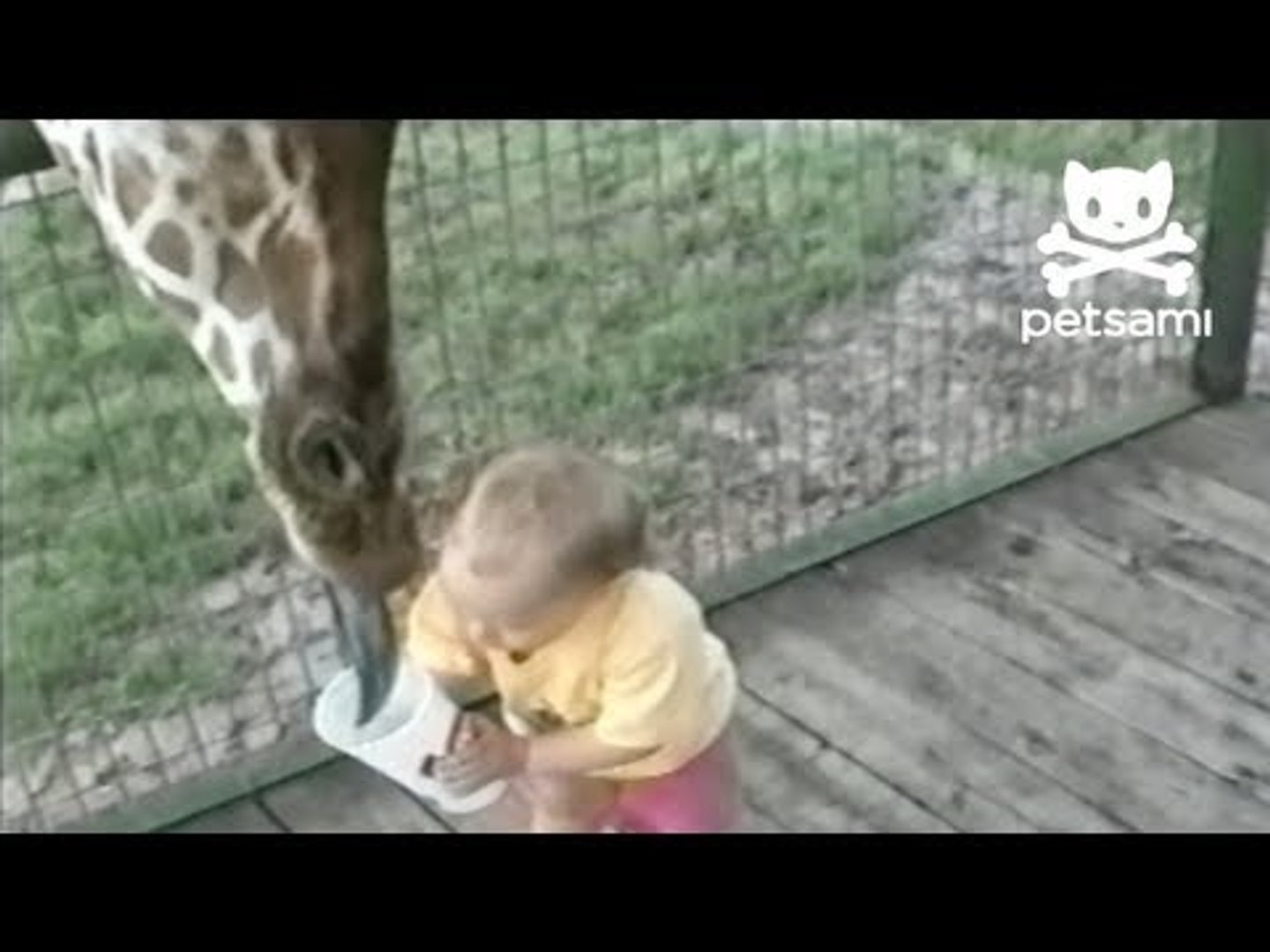 ⁣Giraffe steals little girl's soda