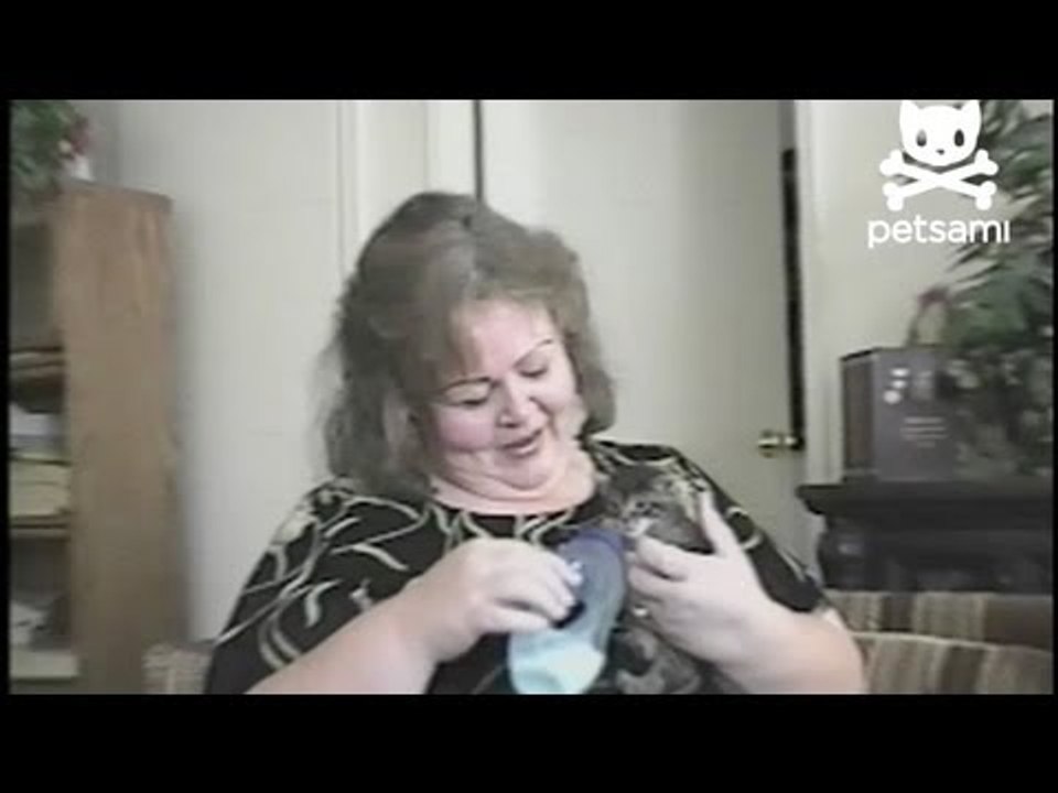 Kittens and puppies bottle feeding