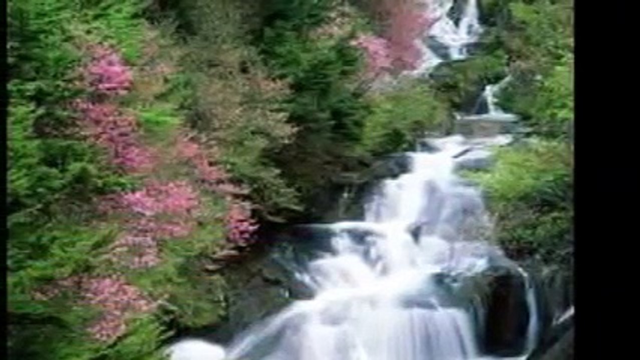 How Beautiful - Sandi Patty  Tradução: Grace e Você (Greice)