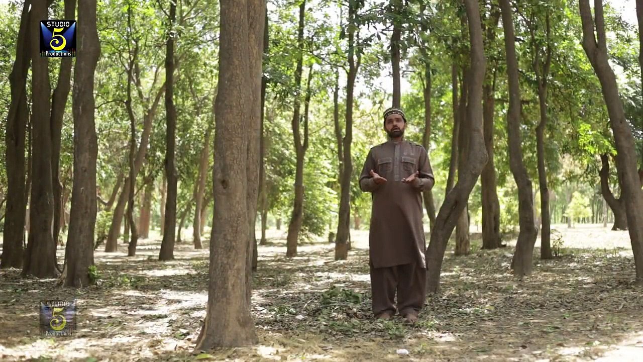HAFIZ ZEESHAN ELAHI SIALVI - Asi Booha Mool Na Chaddan Gey - Album 2015