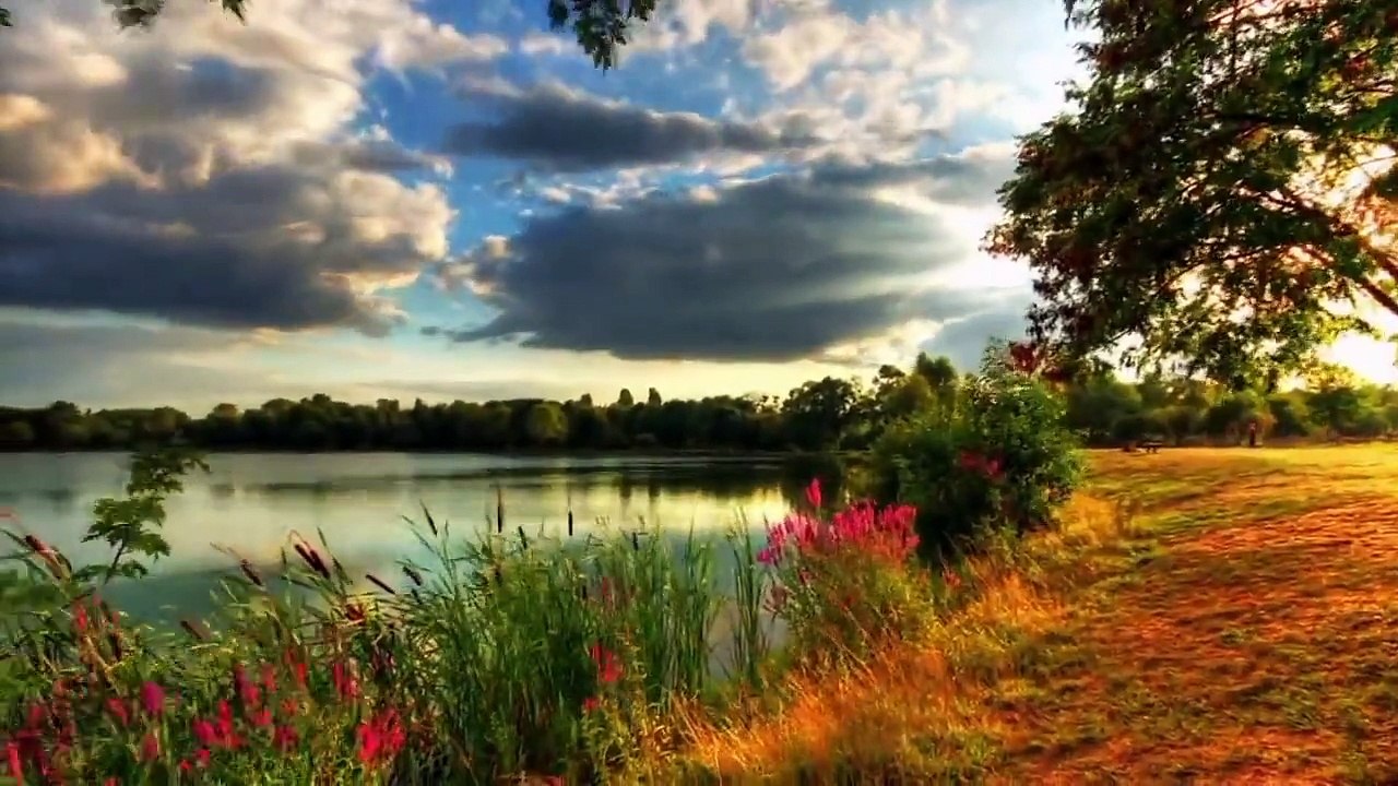 اقوال و حكم عن الثقة بالنفس