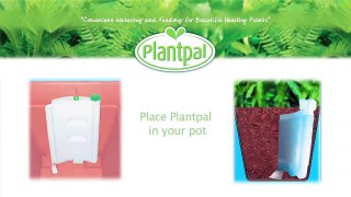 Plantpal - Music for plants
