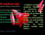 Mapuche Una linda historia de Amor