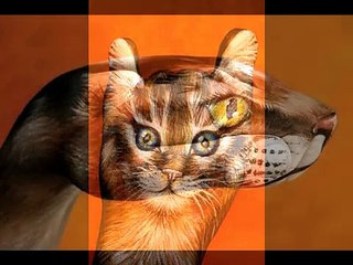 ilginç El hareketleri yaratıcı olaylar