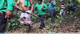 Indonesia Lax When Illegal Loggers Clear Forests for Palm Plantations [Full Episode] [Full Episode]