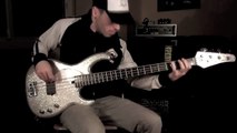 RHCP - Around the World [Bass Cover] with a Modulus Flea Bass Funk Unlimited [by Miki Santamaria]