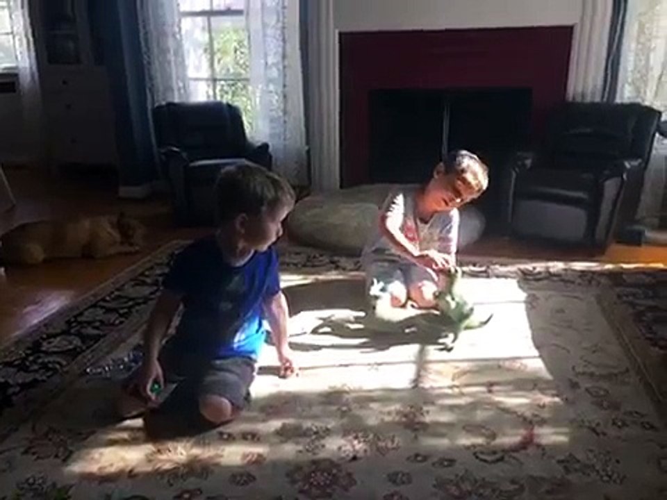 Fights together with 2 fights!