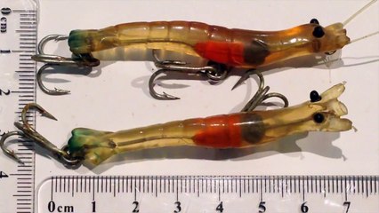 Rio's Prawn Review with Flathead fishing action - My Lure Box