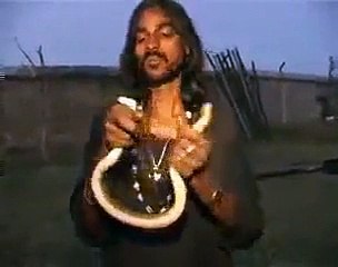 man eating snake O my GOD